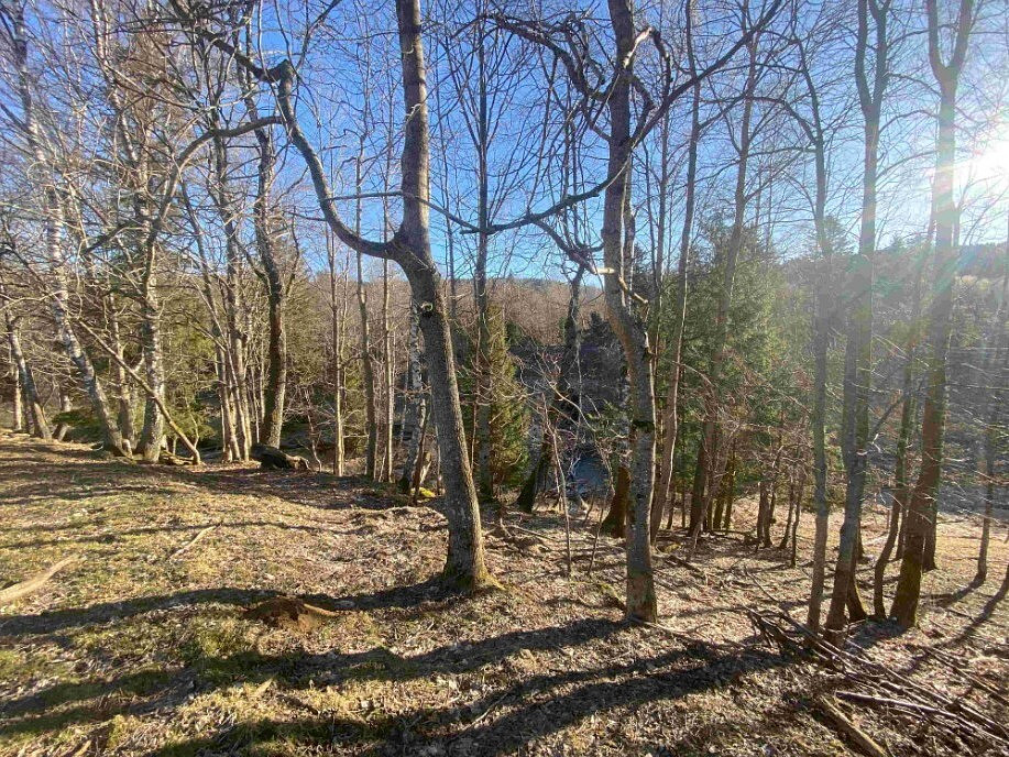 Dražba pozemku 1 644 m²