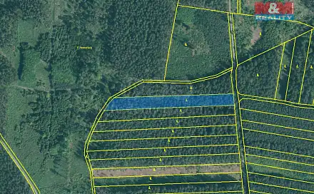 Prodej lesa 4 751 m², Bechyně - Hvožďany, okres Tábor