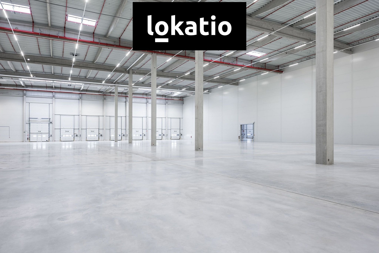 Pronájem skladovacích prostor 4 760 m² — photo 4