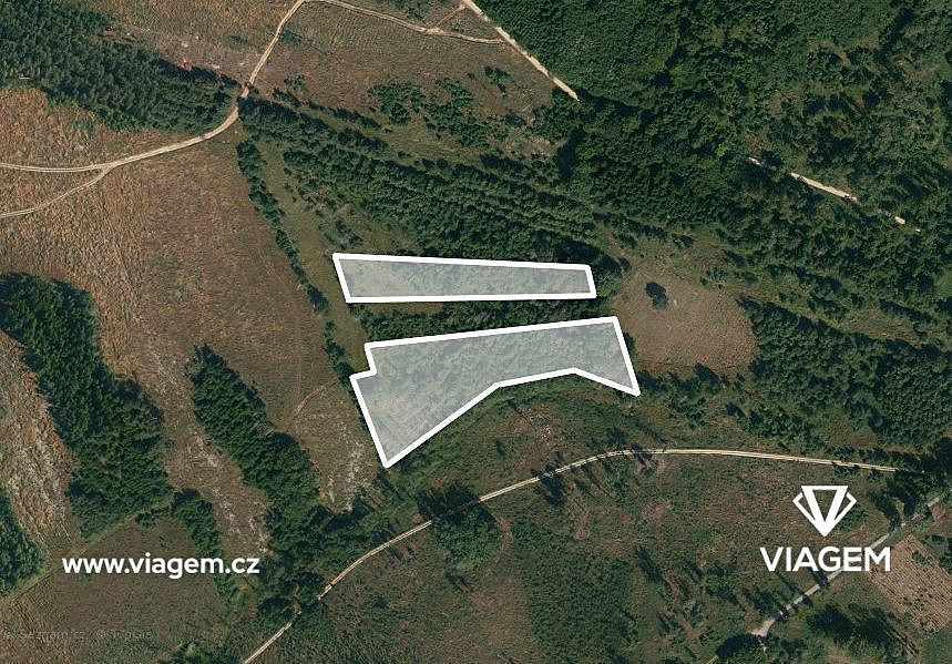 Prodej lesa 13 651 m²