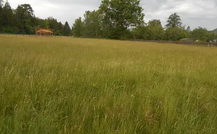Prodej stavebního pozemku 3 342 m², Rybniště, okres Děčín