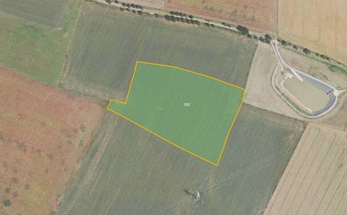 Prodej pole 25 086 m², Ořech, okres Praha-západ