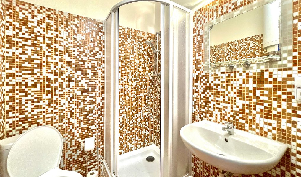 Pronájem bytu 1+1 35 m², Praha – náhled fotky 2