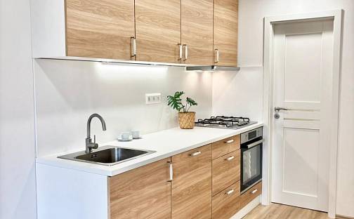 Pronájem bytu 2+kk 48 m², J. A. Komenského, Meziboří, okres Most