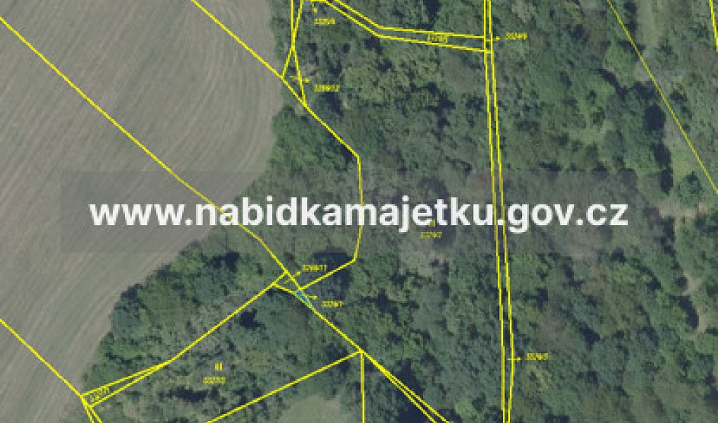 Prodej zahrady 5 503 m², Kostelec nad Černými lesy – náhled fotky 4