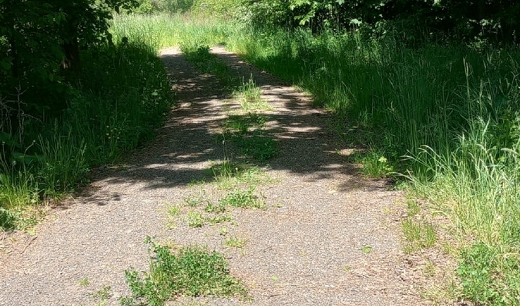 Prodej stavebního pozemku 946 m², Anenská Studánka – náhled fotky 4