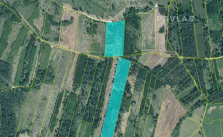 Prodej lesa 103 270 m², Jetětice, okres Písek