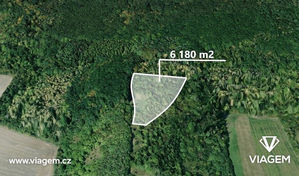 Prodej lesa 2 060 m², Dobrovice – fotka 1 z 5