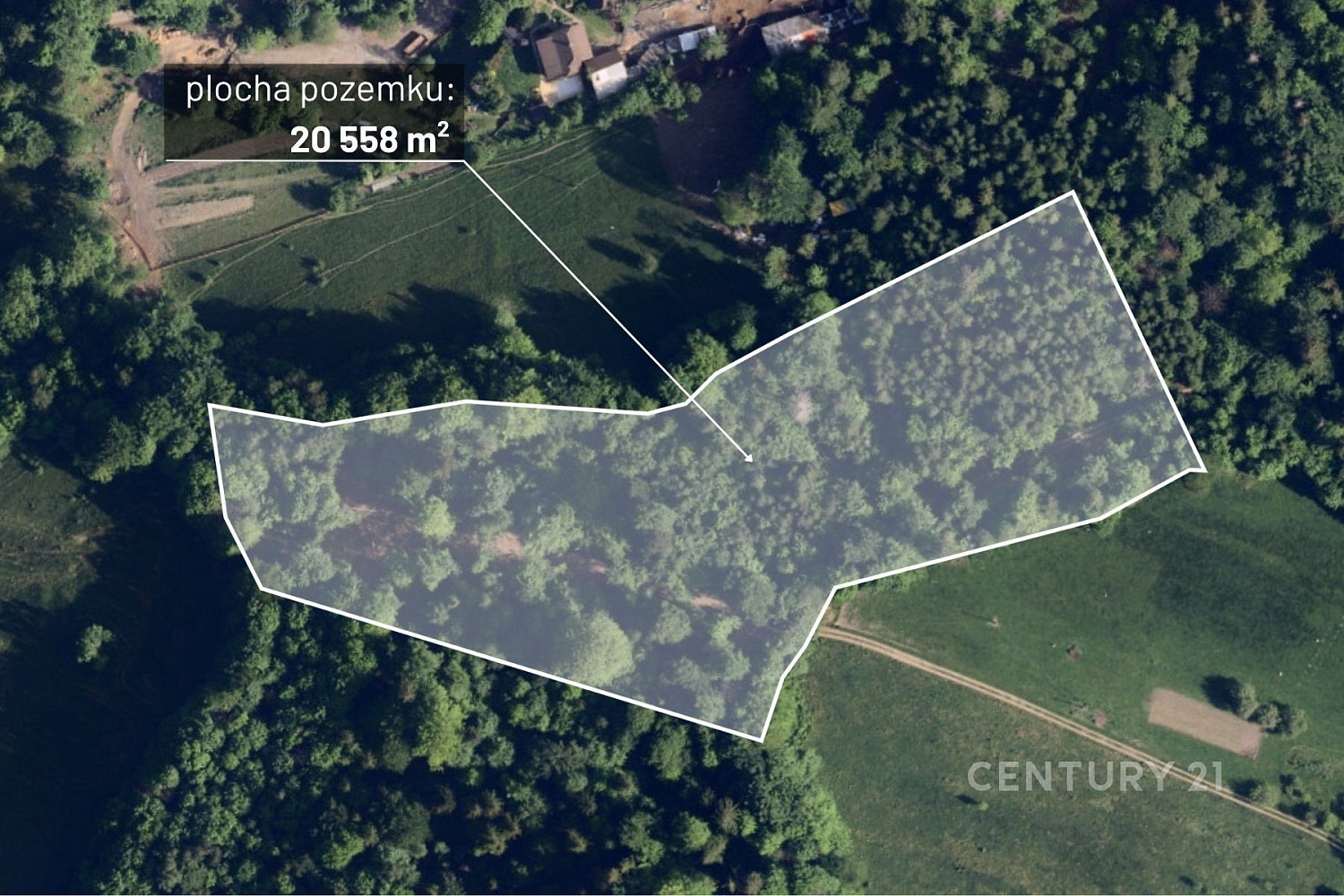 Prodej lesa 20 558 m²