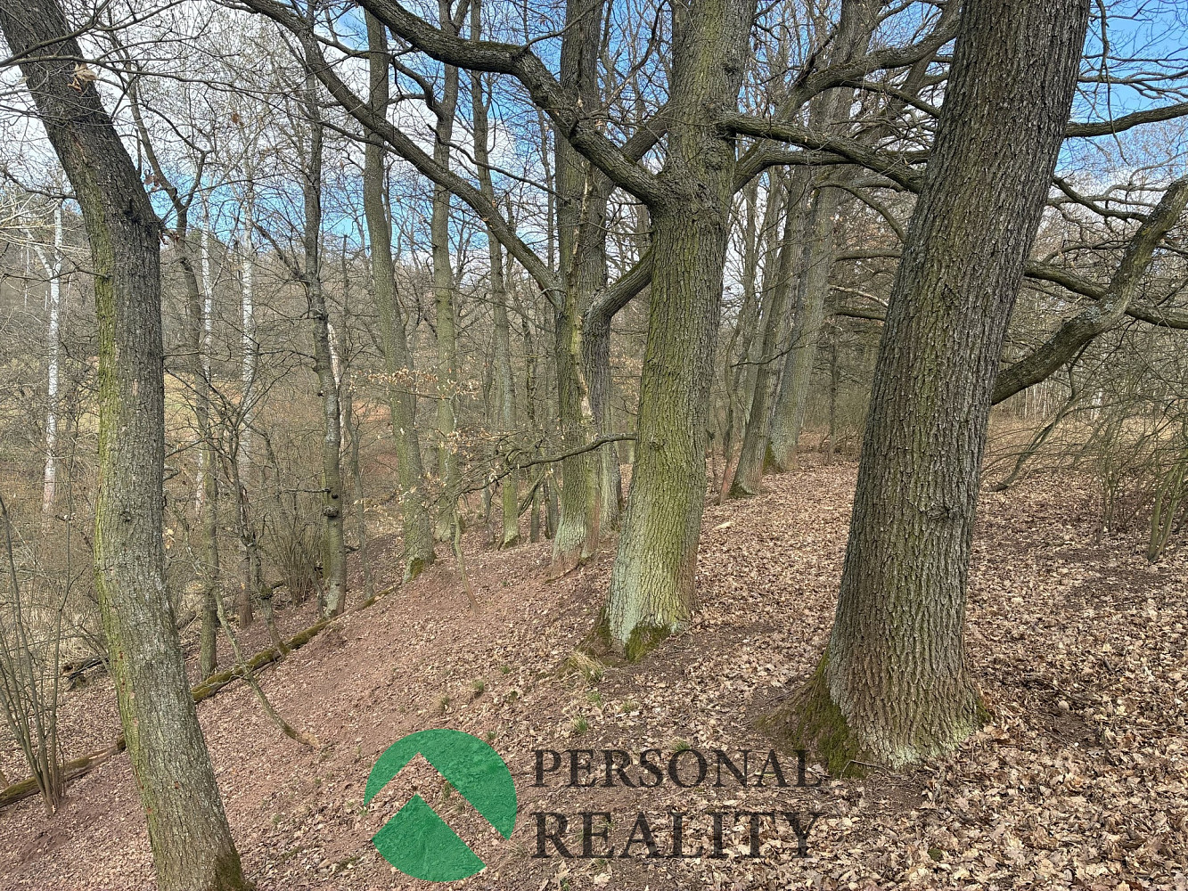 Prodej lesa 43 588 m² – fotografie 5
