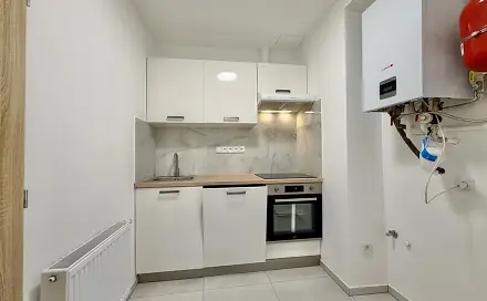 Prodej bytu 1+1 29 m², Hartigova, Praha 3 - Žižkov