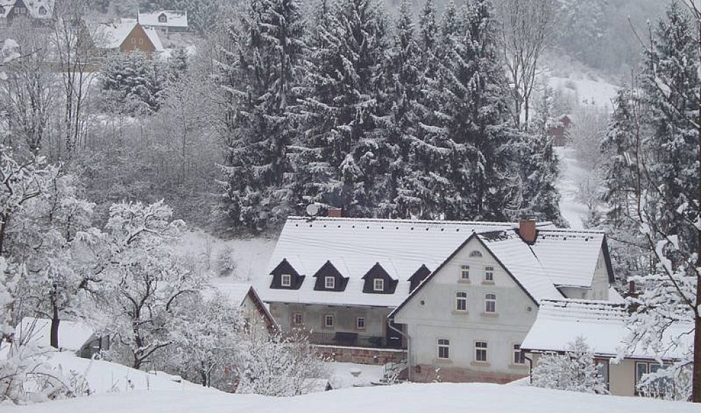 Prodej domu 300 m² s pozemkem 2 000 m², Vidochov – náhled fotky 22
