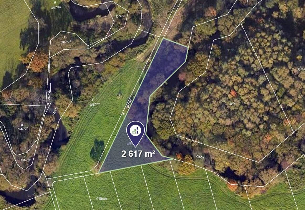 Prodej louky 2 617 m² rezervováno