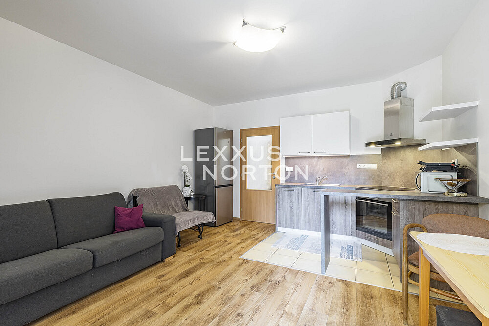 Prodej bytu 1+kk 29 m² – fotografie 4