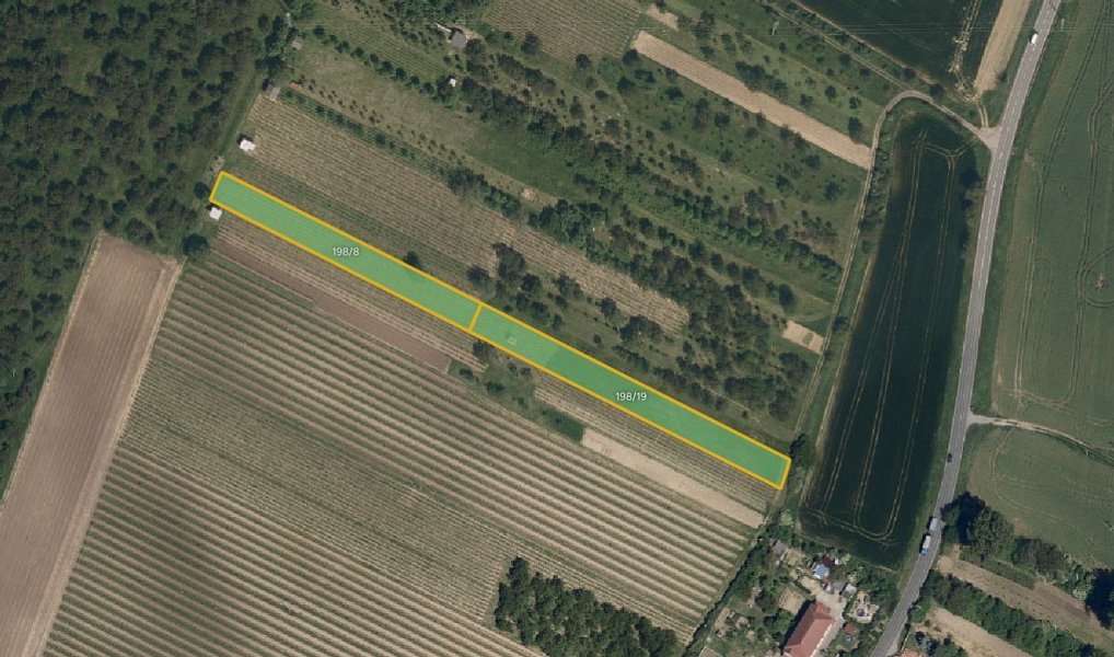 Prodej pole 5 062 m², Svatobořice-Mistřín – fotka 1 z 4
