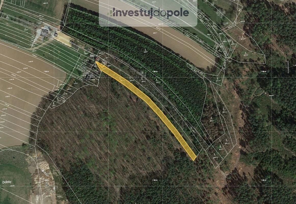 Prodej lesa 1 396 m²