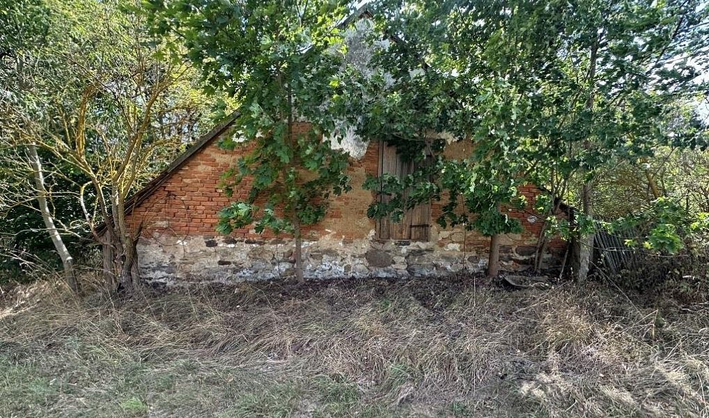Prodej domu 371 m² s pozemkem 11 770 m², Křižanov – náhled fotky 10