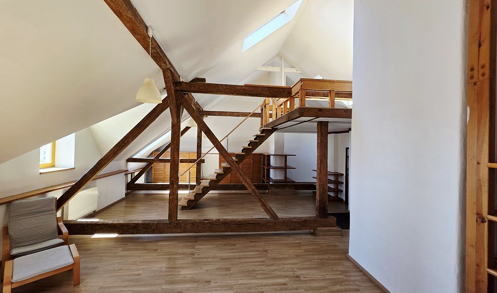 Pronájem bytu 1+kk 106 m², Plzeň – náhled fotky 15