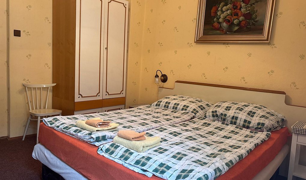 Prodej ubytovacího objektu 5 371 m², Mariánské Lázně – náhled fotky 13