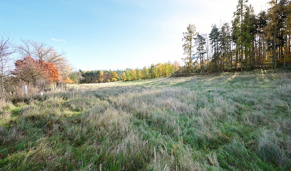 Prodej stavebního pozemku 1 217 m², Daleké Dušníky – náhled fotky 3