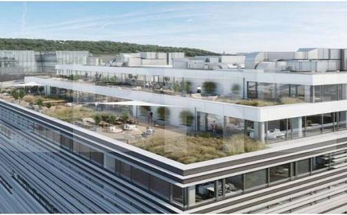 Pronájem kanceláře 950 m², Českomoravská, Praha 9 - Libeň, okres Praha