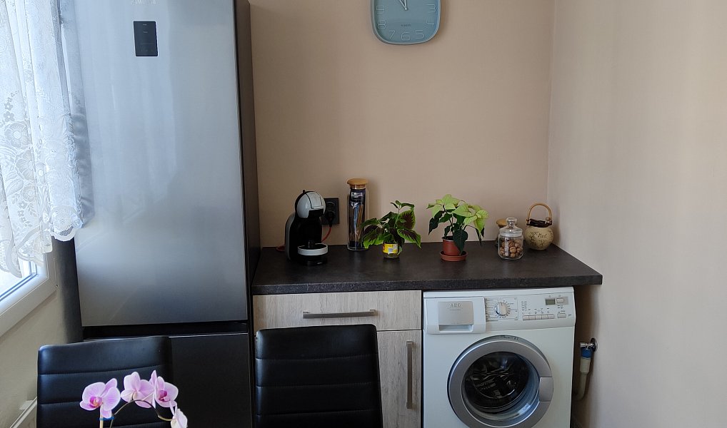 Pronájem bytu 3+1 67 m², Planá – náhled fotky 2