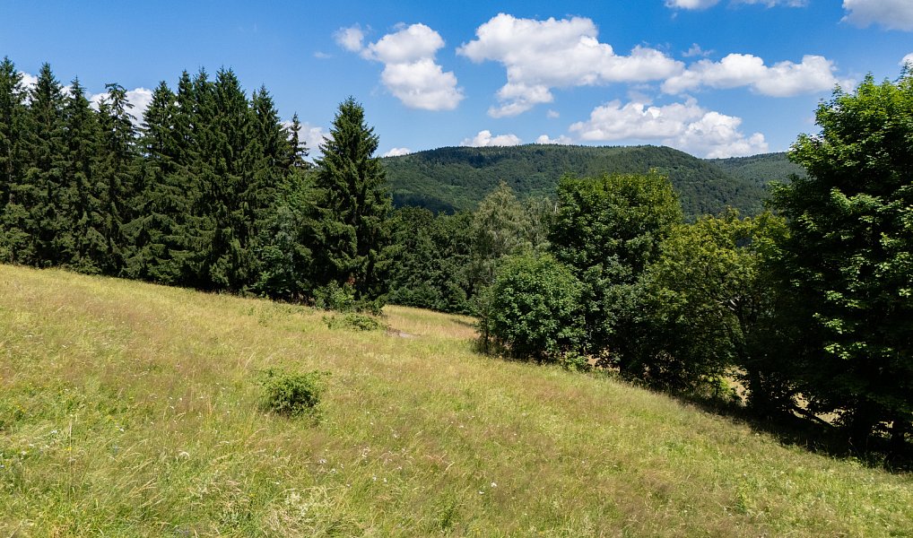 Prodej stavebního pozemku 938 m², Klíny – náhled fotky 4
