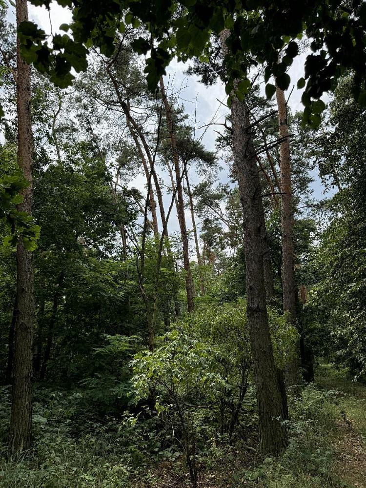 Prodej vodní plochy 604 m² — photo 2