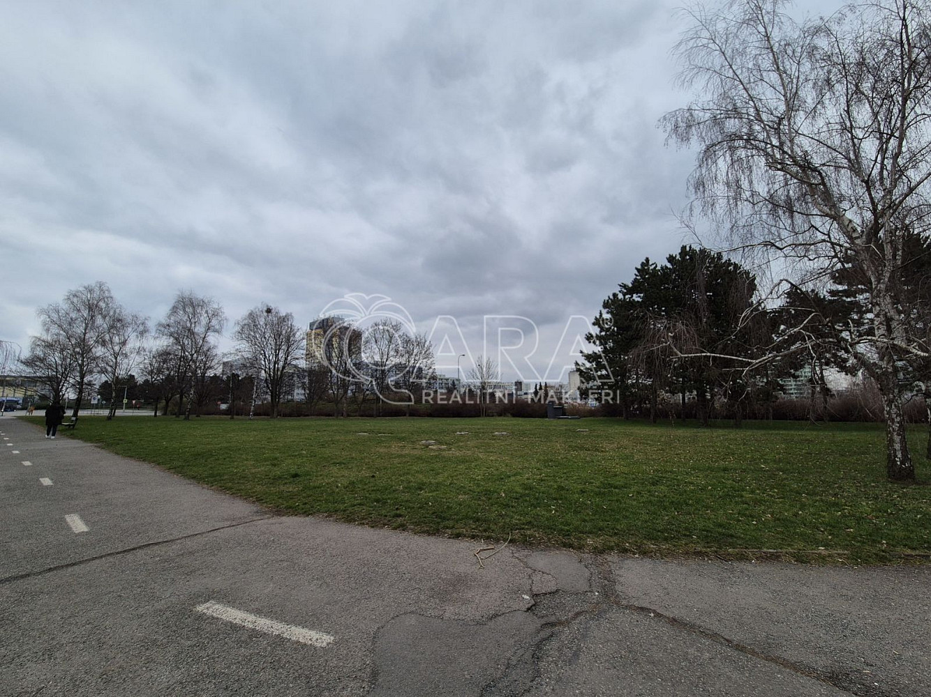 Pronájem komerčního pozemku 2 000 m² – fotografie 4