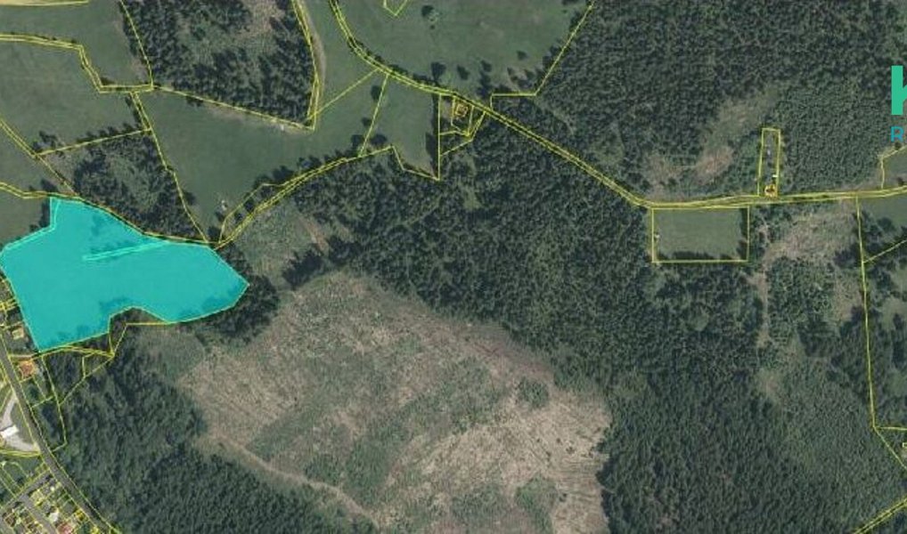 Prodej louky 25 316 m², Pernink – náhled fotky 2