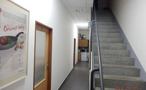 Pronájem kanceláře 16 m², Opavská, Brno - Štýřice