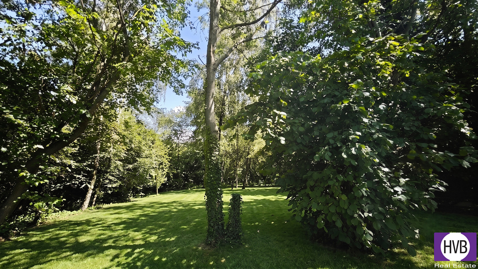 Prodej domu 105 m² s pozemkem 3 999 m² — photo 5
