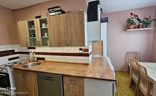 Prodej bytu 3+1 64 m², Kostnická, Chomutov