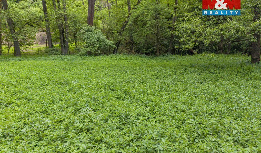 Prodej lesa 491 m², Červené Pečky – náhled fotky 6