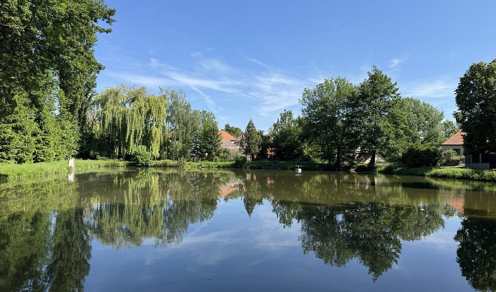 Prodej stavebního pozemku 1 605 m², Vrbčany – náhled fotky 10