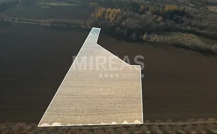 Prodej pole 7 476 m², Praha 10
