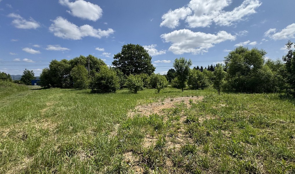 Prodej stavebního pozemku 1 294 m², Jenišov – náhled fotky 3