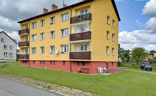 Prodej bytu 3+1 56 m², Družstevní, Černovice, okres Pelhřimov