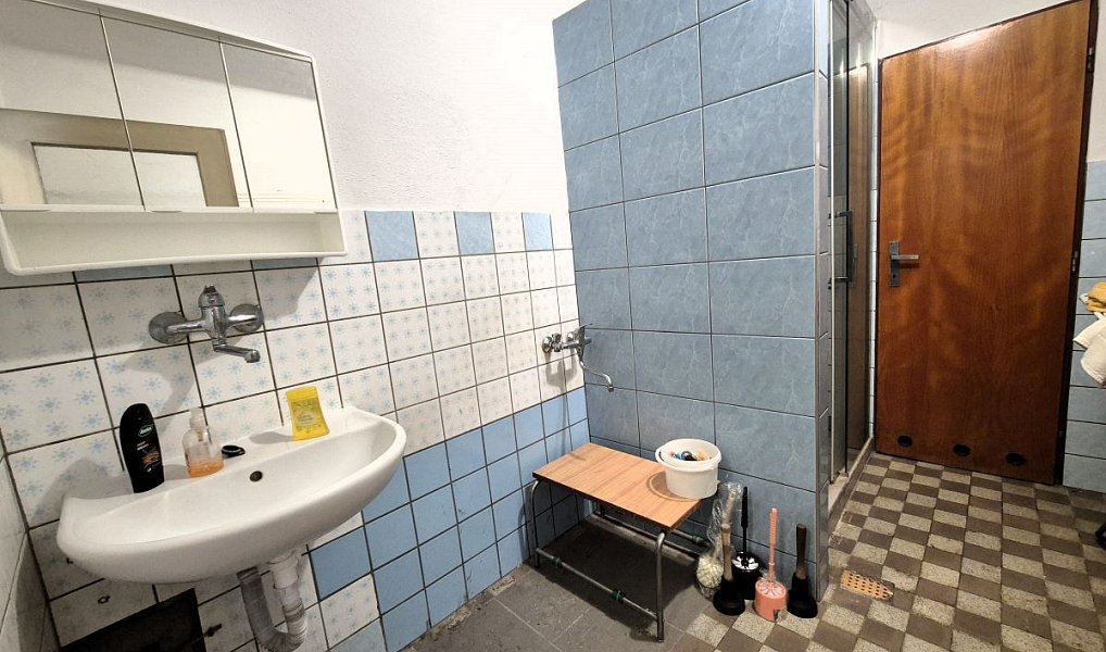 Prodej domu 239 m² s pozemkem 1 451 m², Zalužany – náhled fotky 12