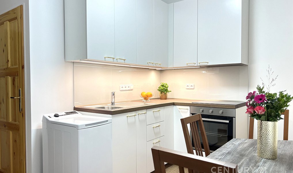 Pronájem bytu 2+1 45 m², Brno – náhled fotky 9