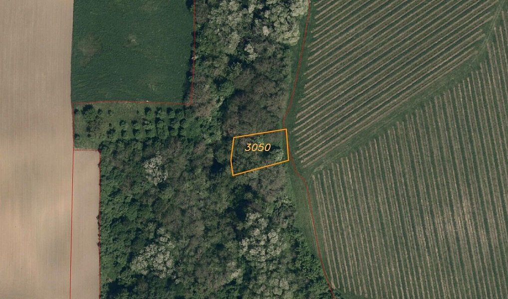 Prodej pozemku 4 878 m², Újezdec – náhled fotky 7