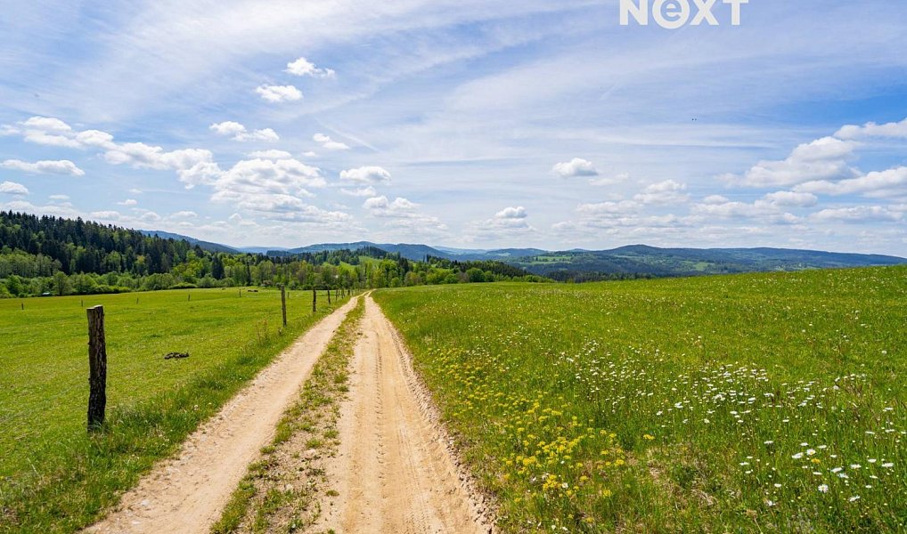 Prodej pozemku 18 124 m², Přídolí – náhled fotky 3