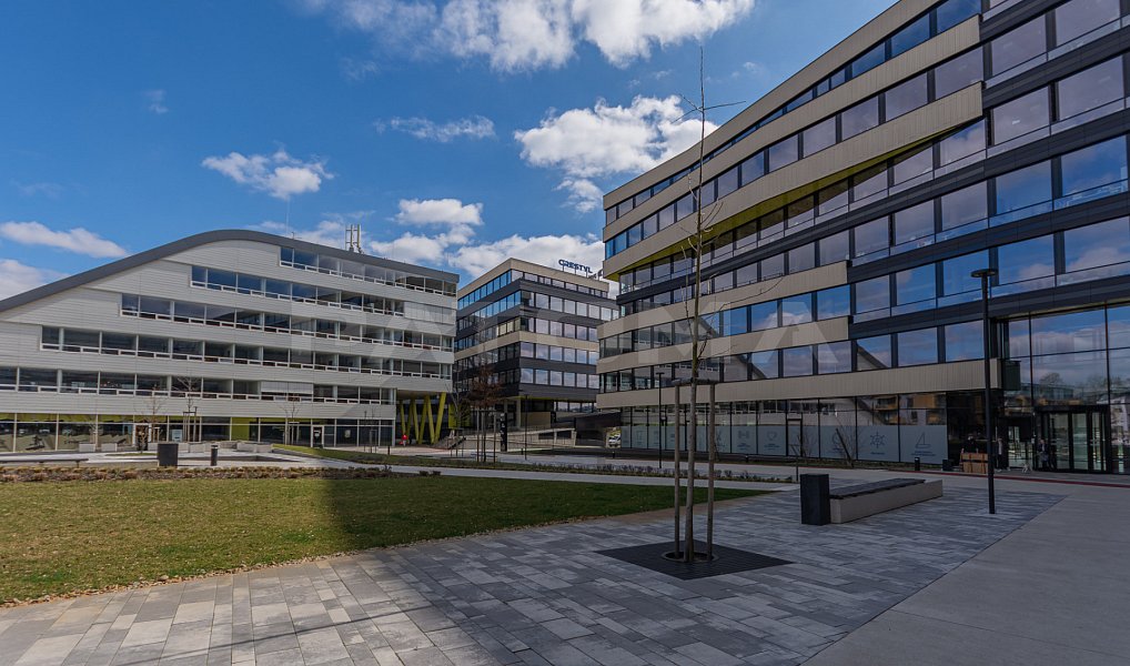 Pronájem kanceláře 330 m², Praha – náhled fotky 13