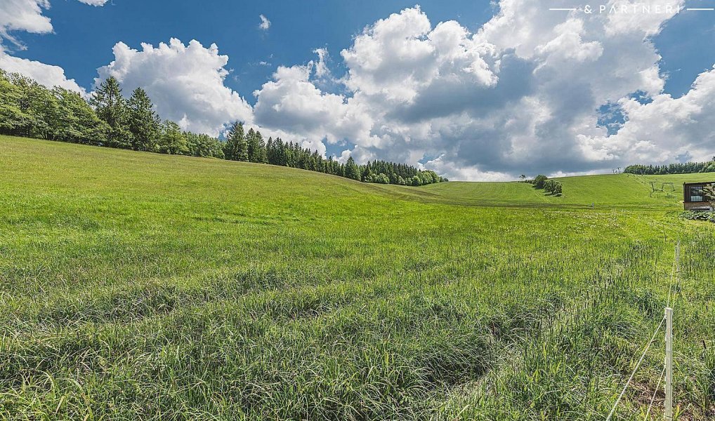 Prodej stavebního pozemku 5 600 m², Olešnice v Orlických horách – náhled fotky 9