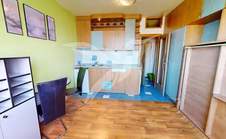 Pronájem bytu 1+kk 25 m², Sousedská, Plzeň - Lobzy