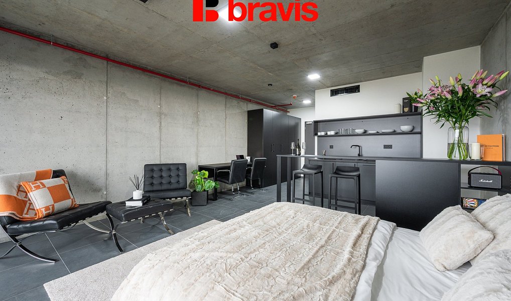 Pronájem bytu 1+kk 48 m², Brno – náhled fotky 8