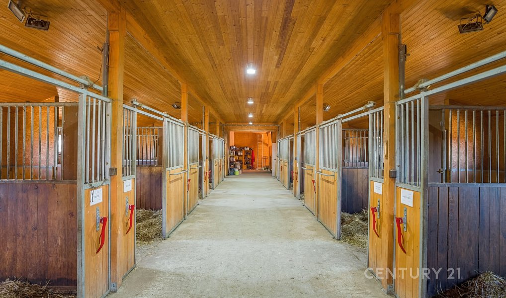 Prodej zemědělského objektu 1 100 m², Zádveřice-Raková – náhled fotky 6