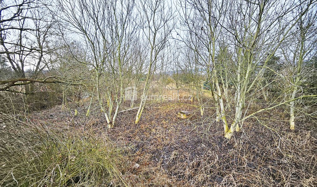 Prodej pole 1 549 m², Sulejovice – náhled fotky 2