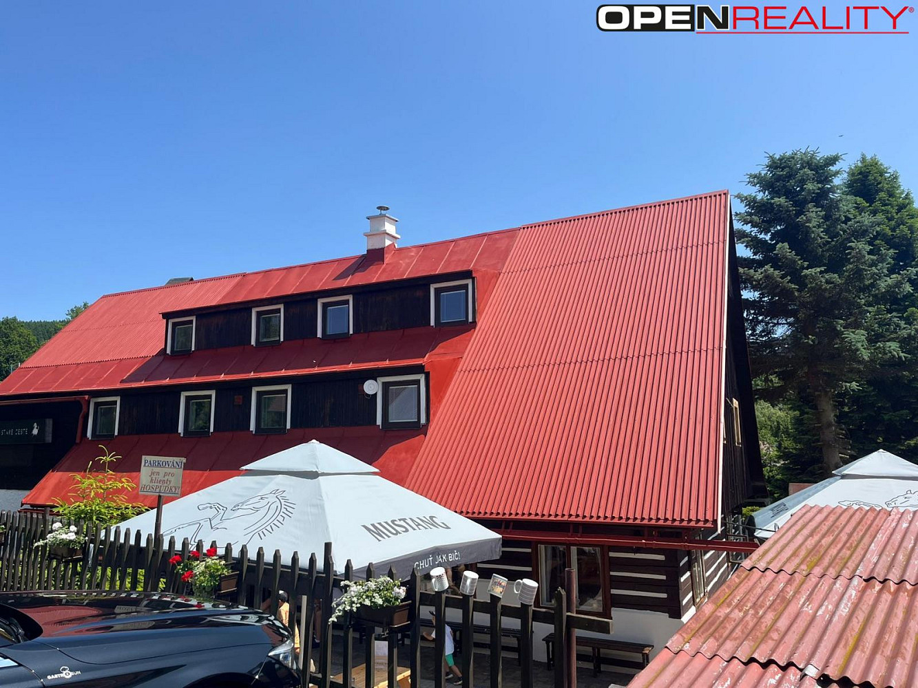 Prodej chaty/chalupy 360 m² s pozemkem 744 m², Deštné v Orlických horách