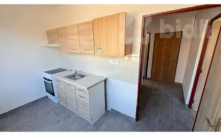 Pronájem bytu 1+1 35 m²